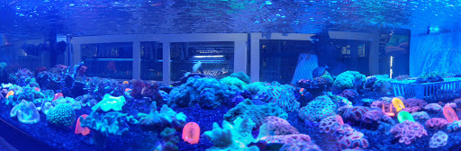 The Aquarium Shop (Aquarium Village) Westbury image 7