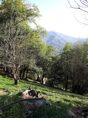 Biert à Le Bosc