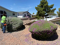 Alex's Landscaping and Handyman Service LLC - Photo 2 - Car repair in , Henderson