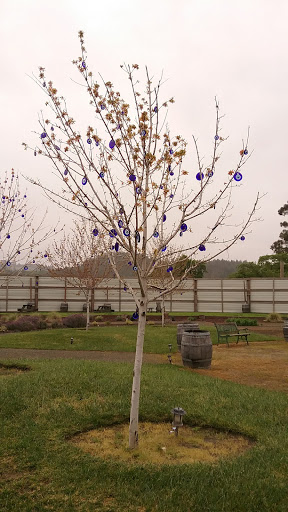 Tourist Attraction «Old Faithful Geyser of California», reviews and photos, 1299 Tubbs Ln, Calistoga, CA 94515, USA