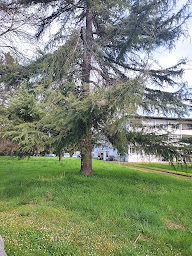 Photo n°7 de Habitat Jeunes Pau Pyrénées - Résidence Gaston Marsan à Gelos ()