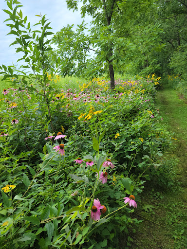 Visitor Center «Effigy Mounds National Monument Visitor Center», reviews and photos, 151 IA-76, Harpers Ferry, IA 52146, USA