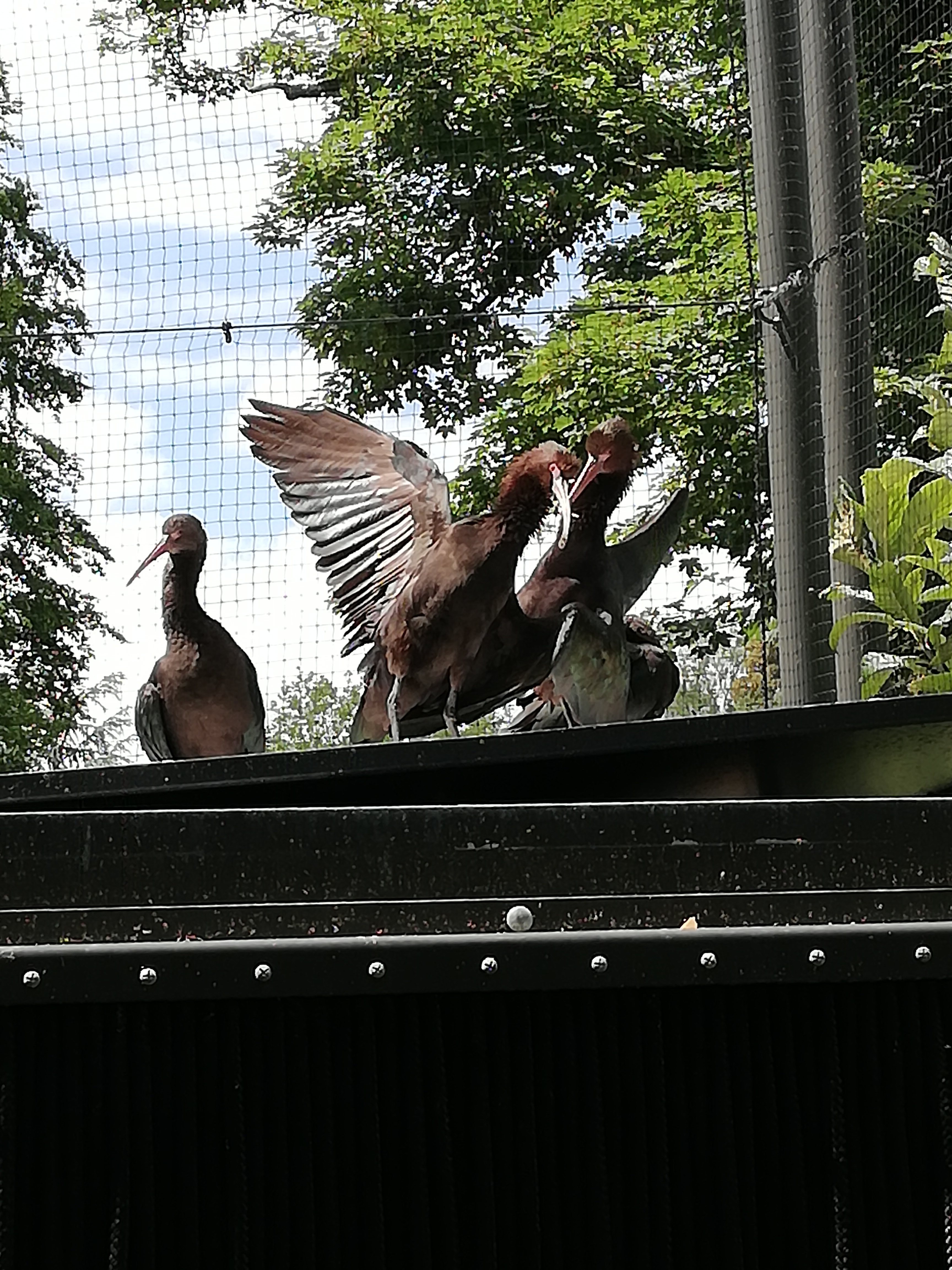 Photo n° 1 de l'avis de Saku'. fait le 06/06/2019 à 12:51