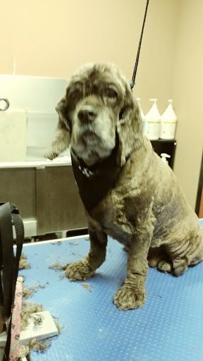 Pet Store «Pet Valu», reviews and photos, 2645 Shillington Rd, Sinking Spring, PA 19608, USA