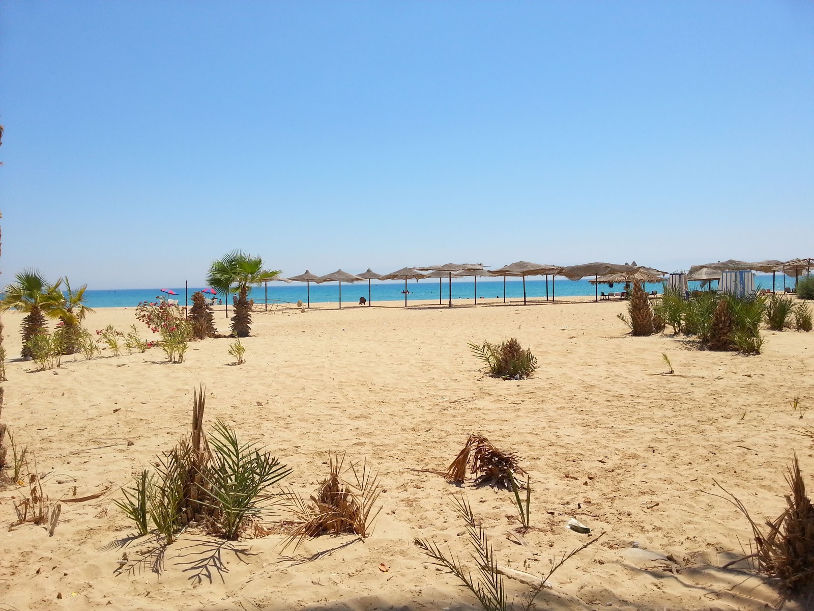 Pearl Sidr Beach'in fotoğrafı otel alanı