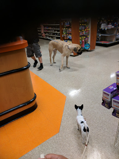 Pet Supply Store «PetSmart», reviews and photos, 139 Radio Dr, Stroudsburg, PA 18360, USA