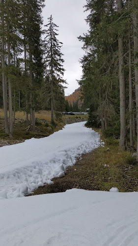 Rezensionen über Davos Snowfarming Loipe in Davos - Fitnessstudio