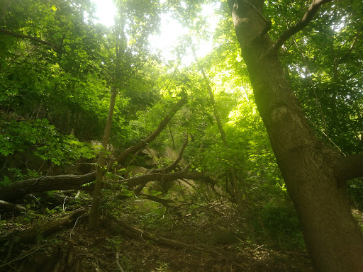 State Park «Hook Mountain State Park», reviews and photos, N Rte 9W, Nyack, NY 10960, USA