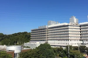 Hamamatsu Medical Center image