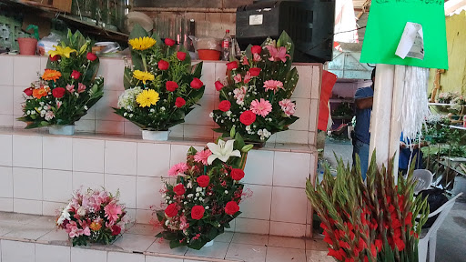 Florería Don Pepe – Mazatlán
