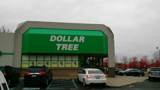 Dollar Store «Dollar Tree», reviews and photos, 2425 Haggerty Rd, Commerce Charter Twp, MI 48390, USA