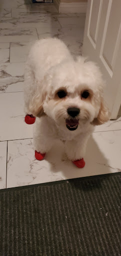 Pet Supply Store «Petco Animal Supplies», reviews and photos, 78720 CA-111, La Quinta, CA 92253, USA