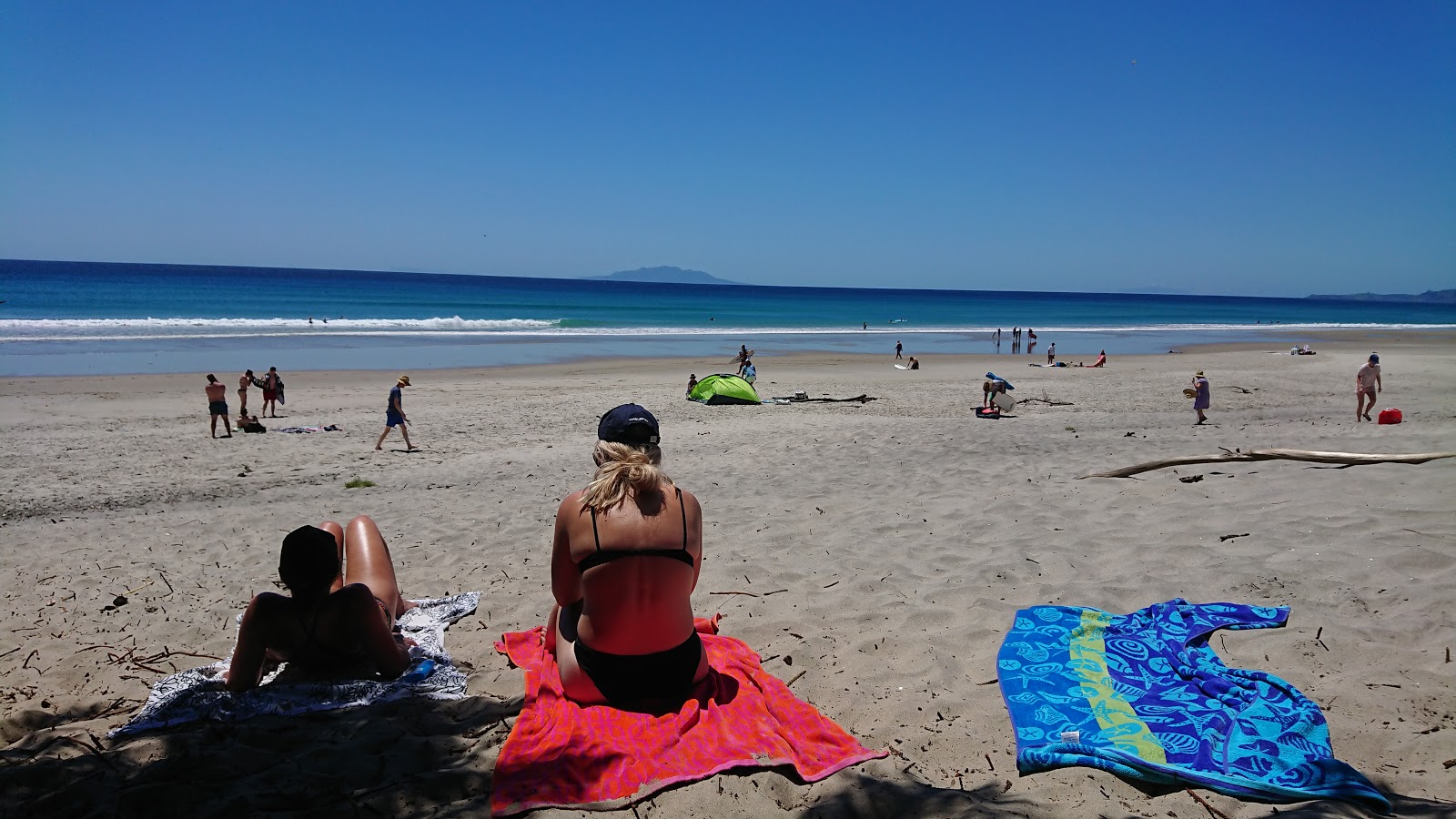 Fotografie cu Forestry Beach - locul popular printre cunoscătorii de relaxare