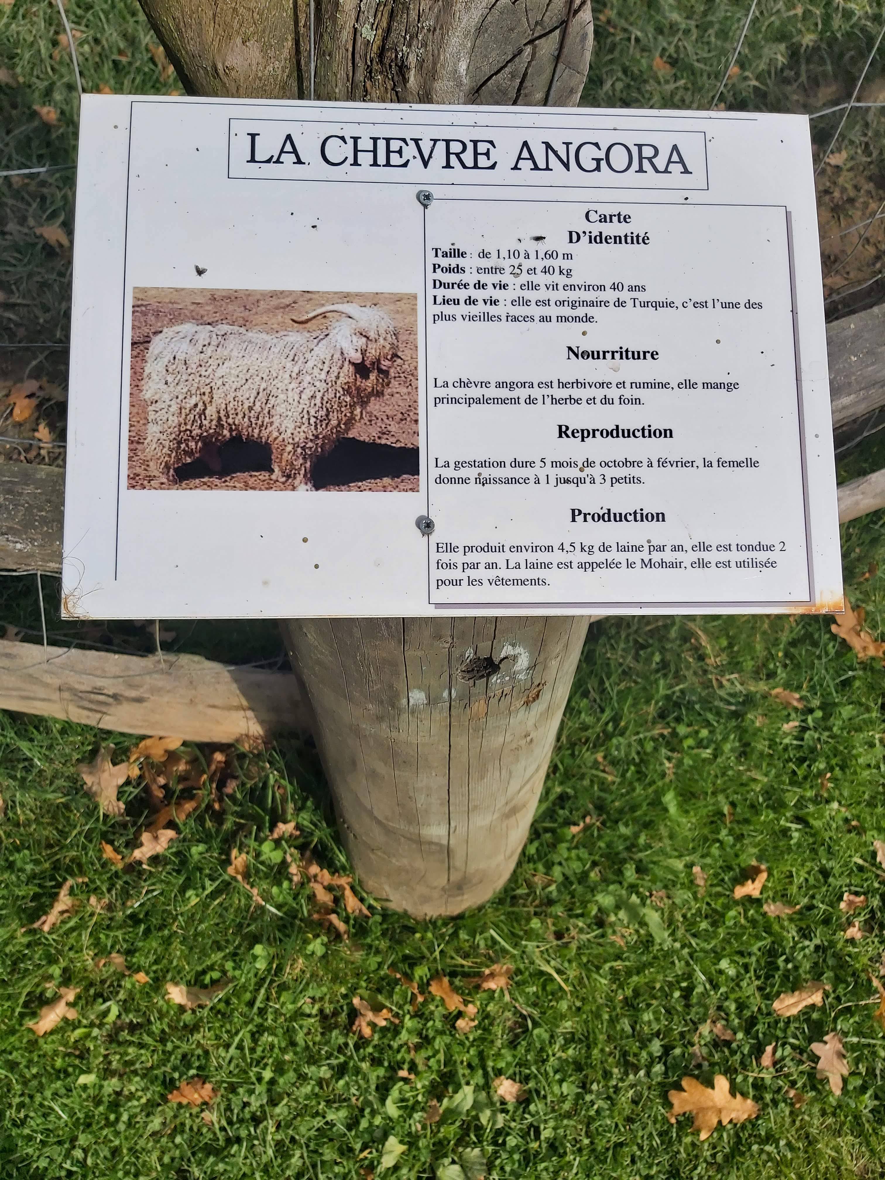 Photo n° 15 de l'avis de Surcouf.3 fait le 30/10/2021 à 16:23