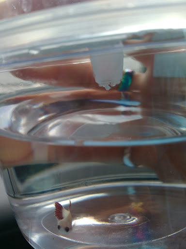 Pet Supply Store «Petco Animal Supplies», reviews and photos, 825 Brevard Rd, Asheville, NC 28806, USA