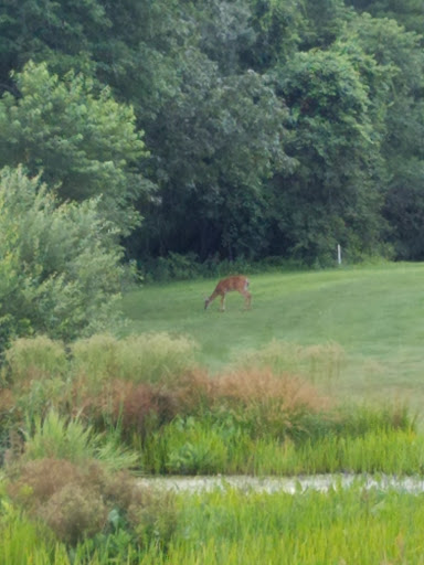 Country Club «Wenham Country Club», reviews and photos, 94 Main St, Wenham, MA 01984, USA