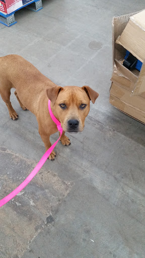 Department Store «Rural King», reviews and photos, 3201 IN-45, Bloomington, IN 47403, USA