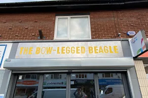 The bow-legged beagle bromborough image