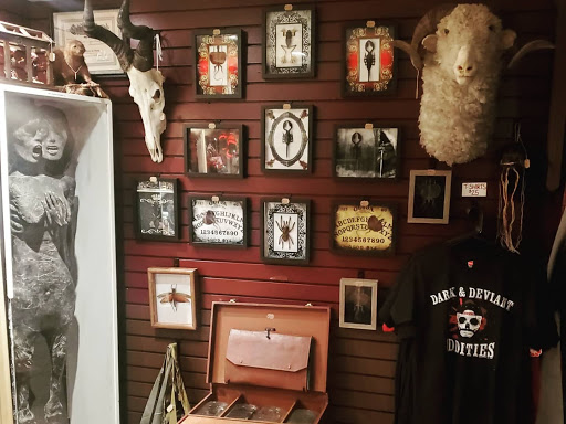 Explore tattoo ideas for soulmates, creative tattoo ideas in Asheville, available at Dark and Deviant Oddities