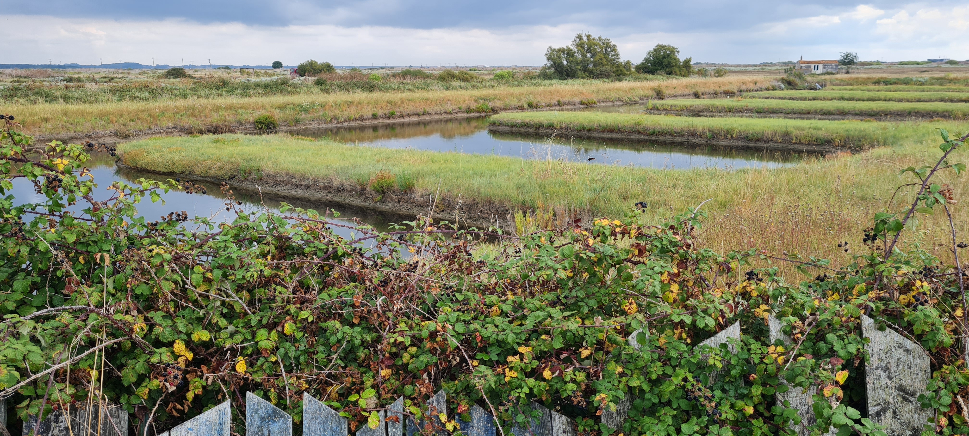 Photo n° 3 de l'avis de Nicolas. fait le 13/09/2021 à 14:27