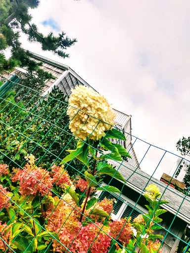 Grocery Store «Seaview Market Inc», reviews and photos, 20 Duneway Ave, Ocean Beach, NY 11770, USA