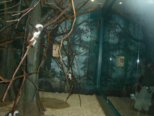 Movie Theater «Mugar Omni Theater», reviews and photos, 1 Museum Of Science Driveway, Boston, MA 02114, USA