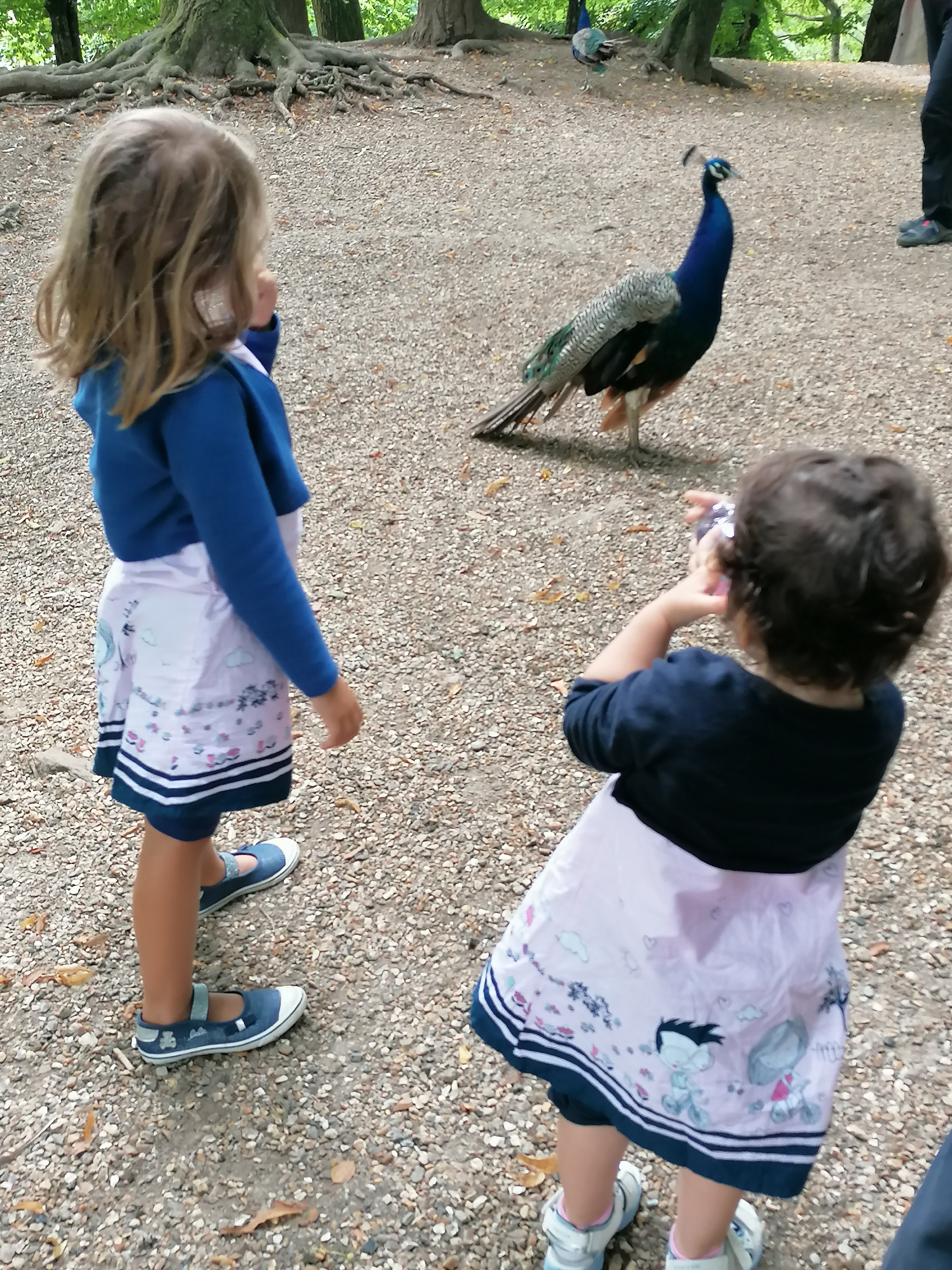 Photo n° 1 de l'avis de Amandine.e fait le 19/08/2021 à 13:40