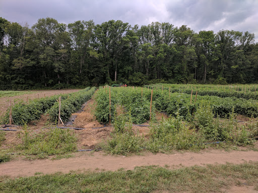 Farm «Langwater Farm», reviews and photos, 209 Washington St, North Easton, MA 02356, USA