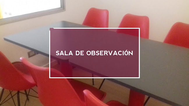 Opiniones de Galia Arianna Tota Sabater, Investigacion De Mercado E.I.R.L. en Las Condes - Supermercado