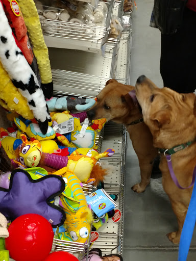 Home Improvement Store «Tractor Supply Co.», reviews and photos, 575 N Lapeer Rd, Oxford, MI 48371, USA