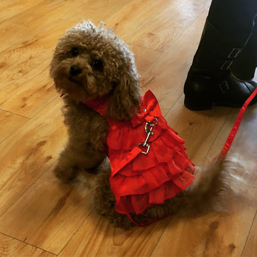 Pet Supply Store «EarthWise Pet Supply & Grooming», reviews and photos, 245 Fries Mill Rd, Blackwood, NJ 08012, USA