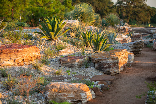 Houston Botanic Garden image 2