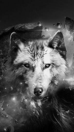 Pet Supply Store «PetSmart», reviews and photos, 3 McKenna Rd, Arden, NC 28704, USA