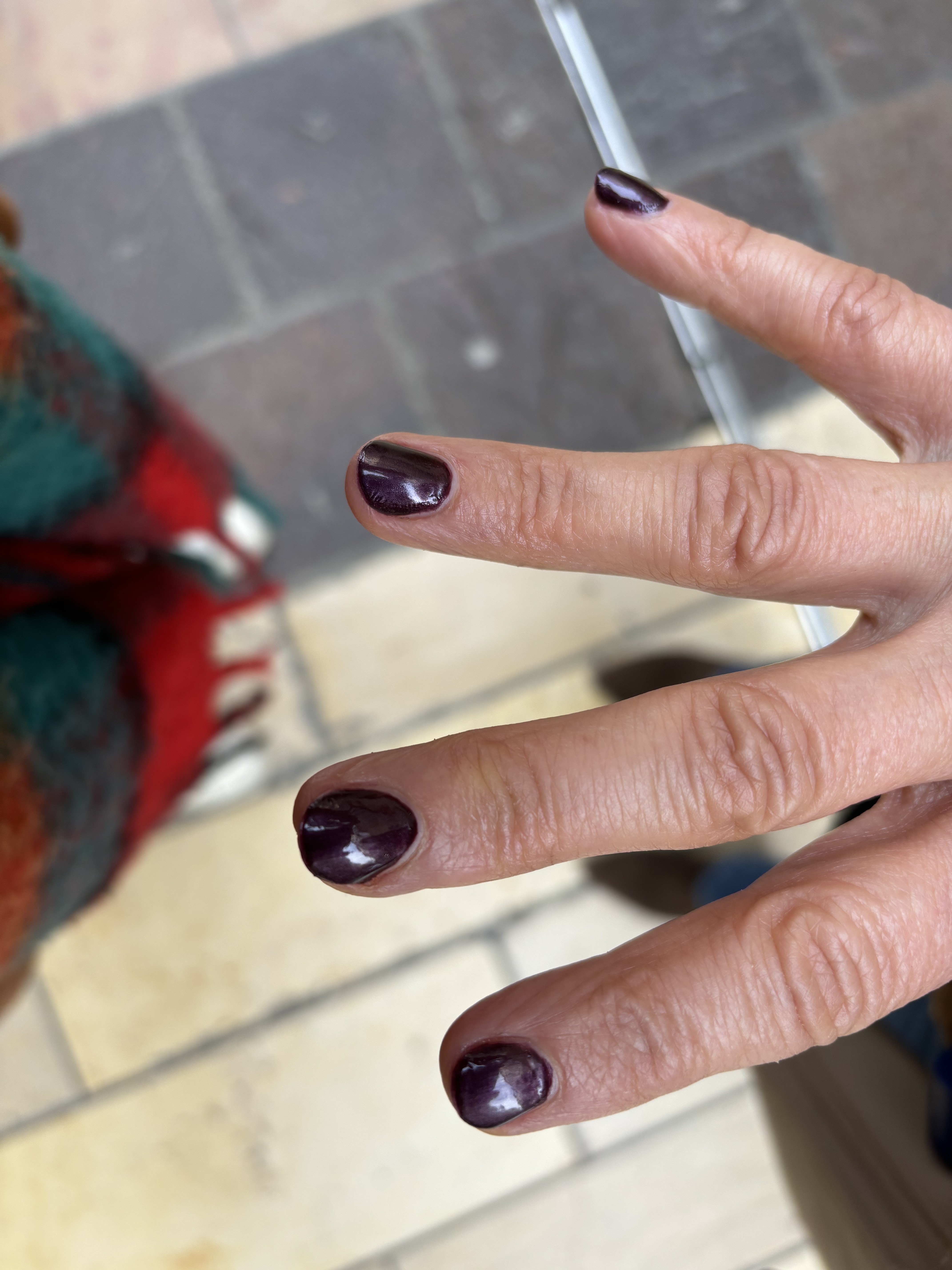 Photo n° 1 de l'avis de Inès.e fait le 16/02/2024 à 10:46