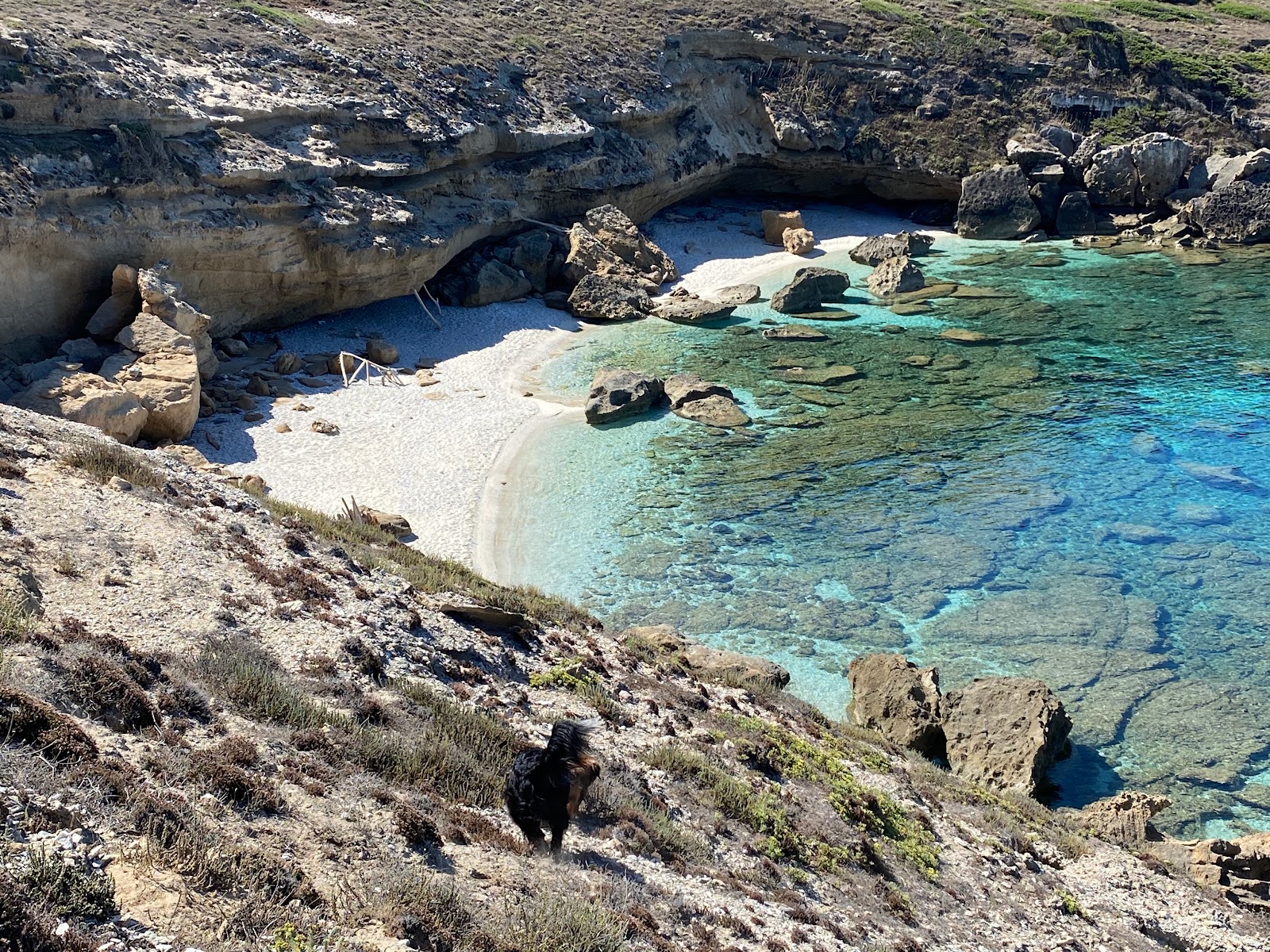 Cala Unia Beach'in fotoğrafı ve güzel manzarası