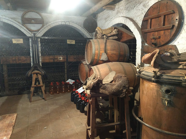 Opiniones de Museo del Vino de Villa Alegre en San Javier - Museo