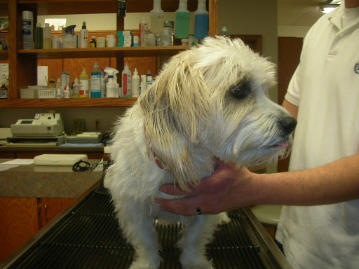 Fianna Hills Pet Hospital