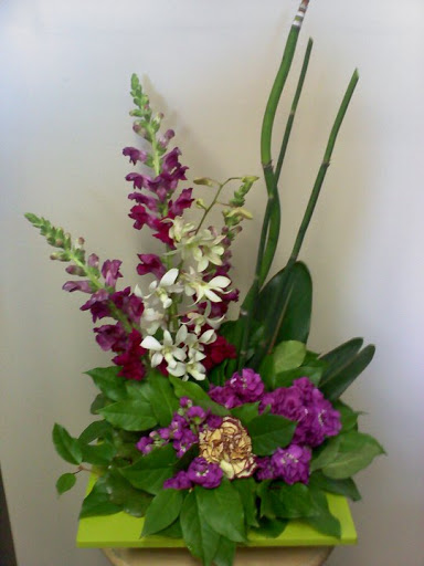 Florist «Stargazer Premier Florist», reviews and photos, 925 NW Circle Blvd, Corvallis, OR 97330, USA