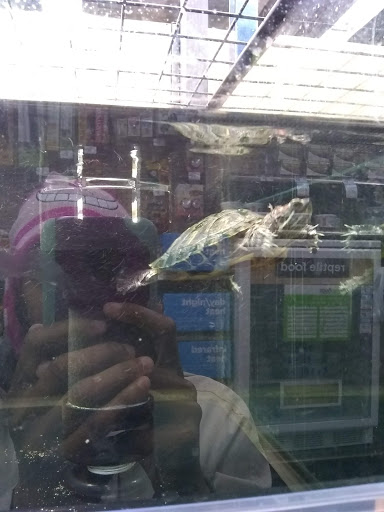 Pet Supply Store «Petco Animal Supplies», reviews and photos, 3454 Palmer Dr #7a, Cameron Park, CA 95682, USA