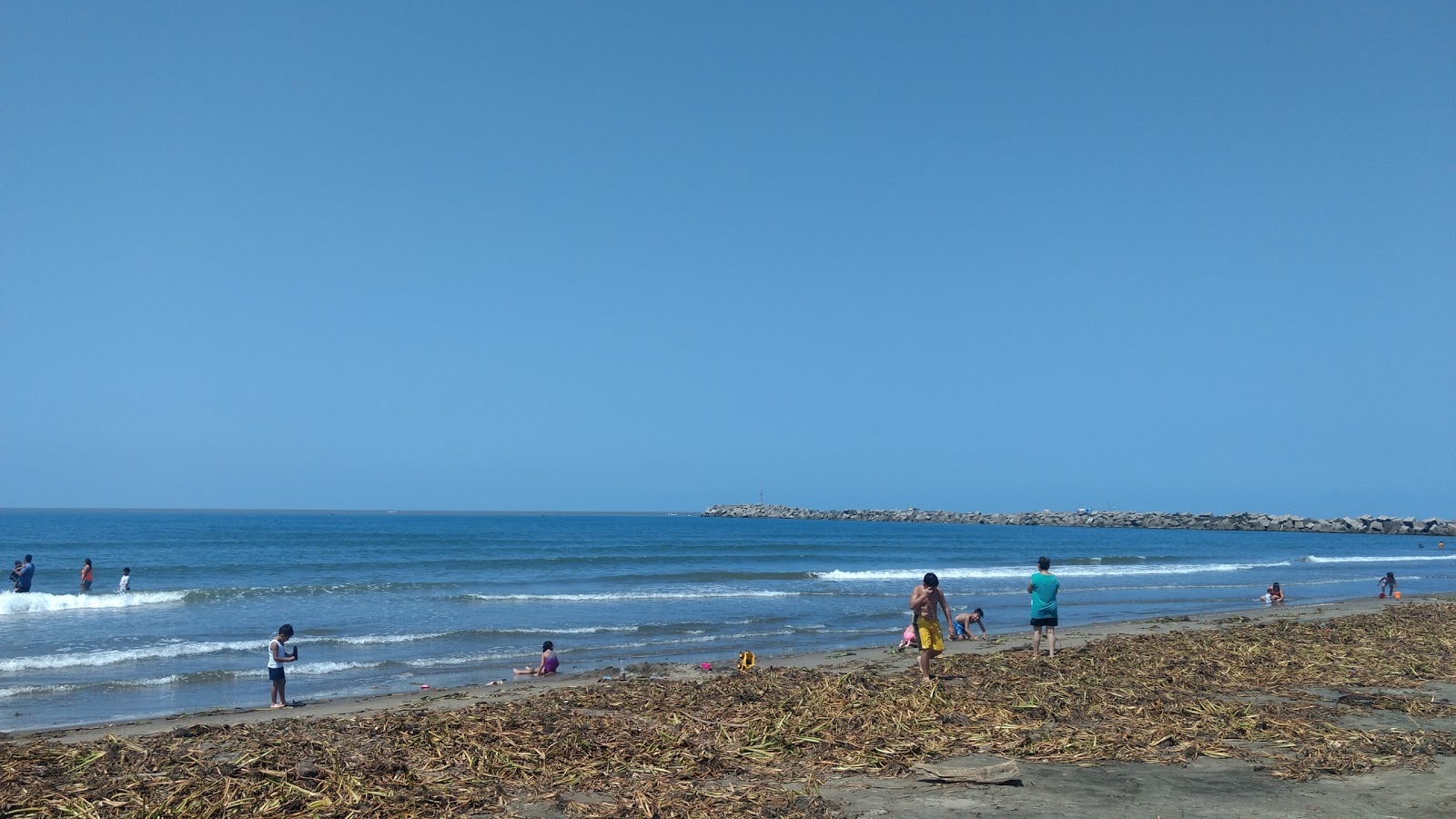 Foto de Playa de Alvarado com baixo nível de limpeza