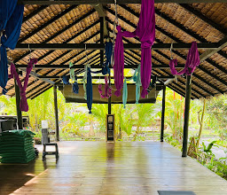 Wonderland Healing Center photo