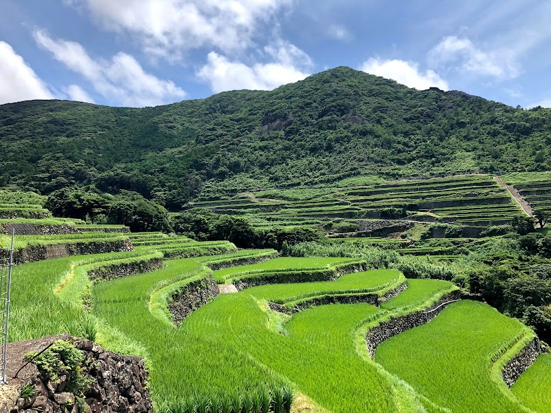 春日の棚田