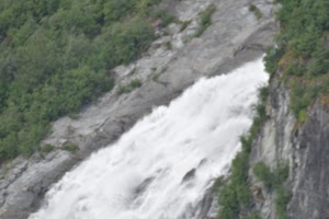 Glacier Gardens Rainforest Adventure - photo 29