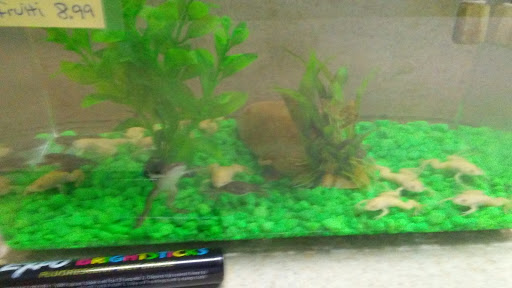 Pet Store «Pet Cove», reviews and photos, 820 E Center St, Kingsport, TN 37660, USA