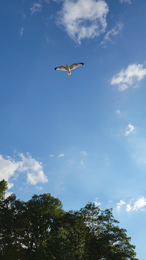 Tourist Attraction «West Branch State Park Beach», reviews and photos, Esworthy Rd, Ravenna, OH 44266, USA