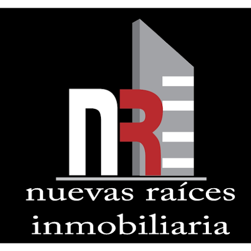 Opiniones de Nuevas Raices Inmobiliaria en Quito - Agencia inmobiliaria