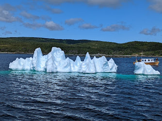 Northland Discovery Iceberg & Whale Tours