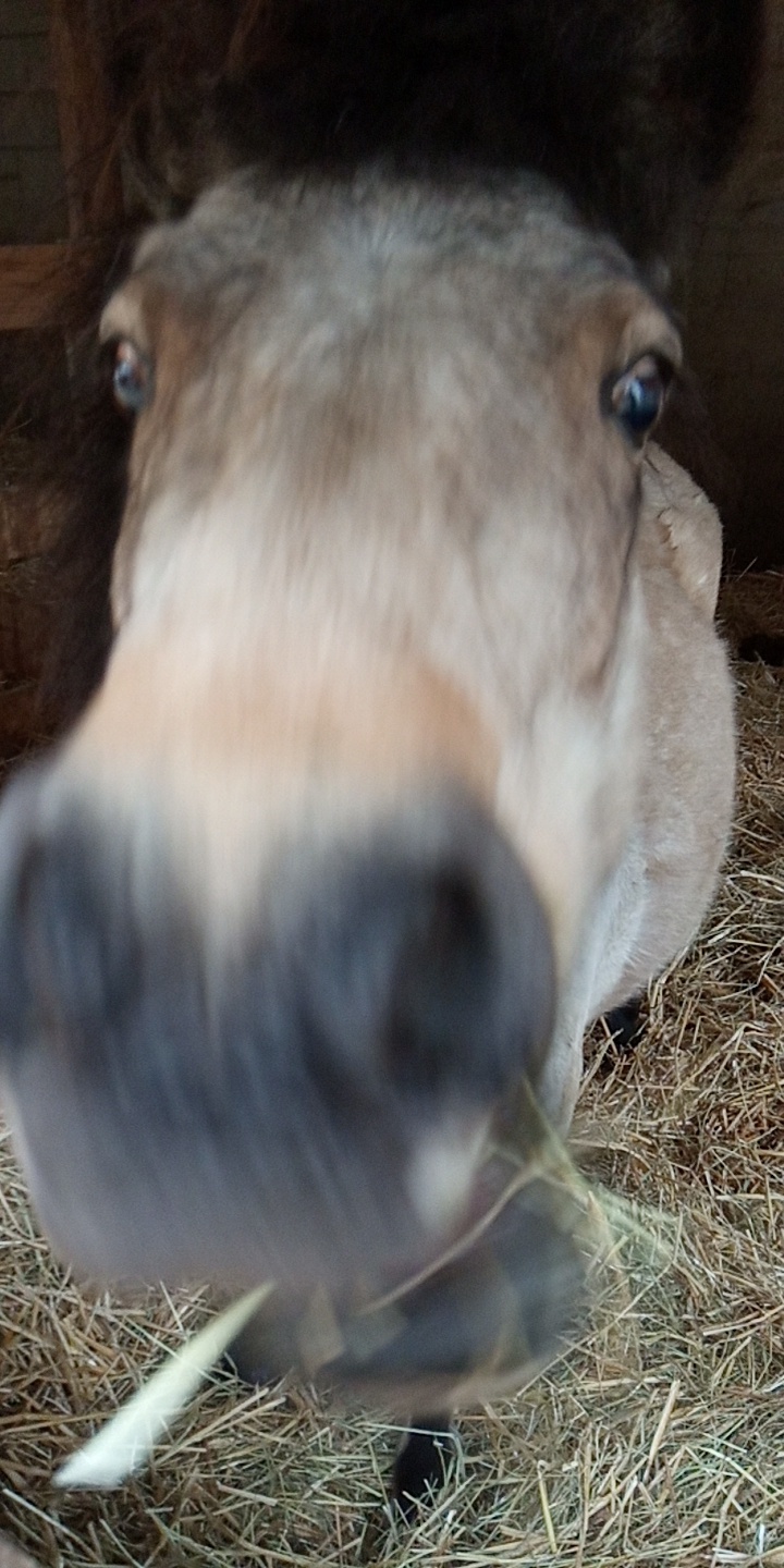 Photo n° 13 de l'avis de Cavalière.' fait le 30/06/2019 à 18:26