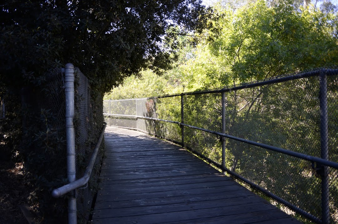 Los Gatos Creek Trail