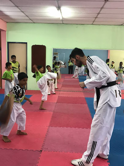 Aelma Taekwondo Academy